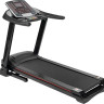 Беговая дорожка Sundays Fitness T350C