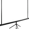 Проекционный экран Cactus TriExpert 135x180 CS-PSTE-180X135-BK
