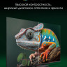 Телевизор DIGMA Pro UHD 55C