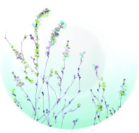 Набор тарелок Luminarc Simply Trompette Turquoise V2715 (44 пр)