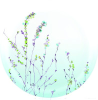 Набор тарелок Luminarc Simply Trompette Turquoise V2715 (44 пр)