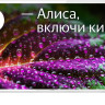 Телевизор BBK 32LEX-7288/TS2C