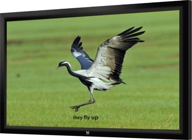 Проекционный экран SeeMax Highland 4:3 366x274