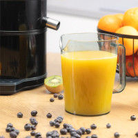 Соковыжималка Zelmer ZJE6800