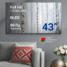 Телевизор Витязь D43FN01BF