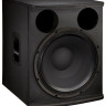 Акустическая система Electro-Voice ELX118