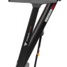 Беговая дорожка Titanium Masters Physiotech M270