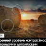 Телевизор Samsung QE50Q60CAUXUZ