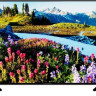 Телевизор Thomson T55USL7040