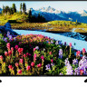 Телевизор Thomson T55USL7040