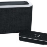 Портативная акустика Platinet Duo PMG094