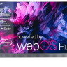 Телевизор Evolution WOS55MR1SBUHD