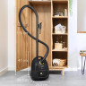 Пылесос Bosch BGL38GOLD