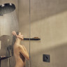 Смеситель Hansgrohe 15572670