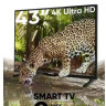 Телевизор SoundMAX SM-LED43M03SU