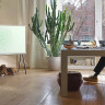 Телевизор Samsung QE50LS01TAU