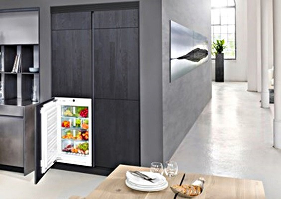 Однокамерный холодильник Liebherr SIBP 1650