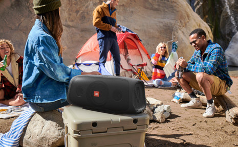 Портативная акустика JBL BassPro Go