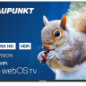 Телевизор Blaupunkt 43UB5000