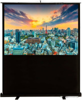 Проекционный экран Cactus FloorCompactExpert 120x160 CS-PSFLCE-160X120