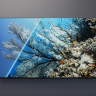 Телевизор Philips 50PUS7608/60