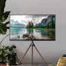 Кронштейн Cactus CS-ST1246BKWN