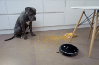 Робот-пылесос Gutrend Smart 300 (Black)