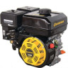 Двигатель Champion G210HT