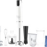 Блендер Moulinex Infiny Force DD94J110