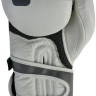 Перчатки BoyBo Ice BBG800 (10oz, белый/серый)