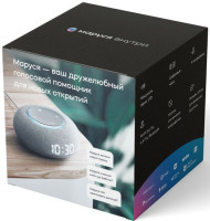 Умная колонка VK Капсула Мини (серый)