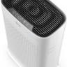 Очиститель воздуха Tefal Pure Air PT3030F0