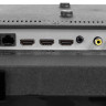 Телевизор VEKTA LD-43SU8821BS