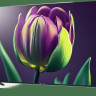 Телевизор TopDevice TDTV75CS06UBK