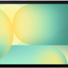 Планшет Samsung Galaxy Tab S10 FE 5G SM-X526 12GB/256GB (серебристый)