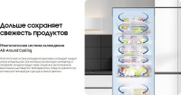 Холодильник Samsung RB53DG703ES9WT