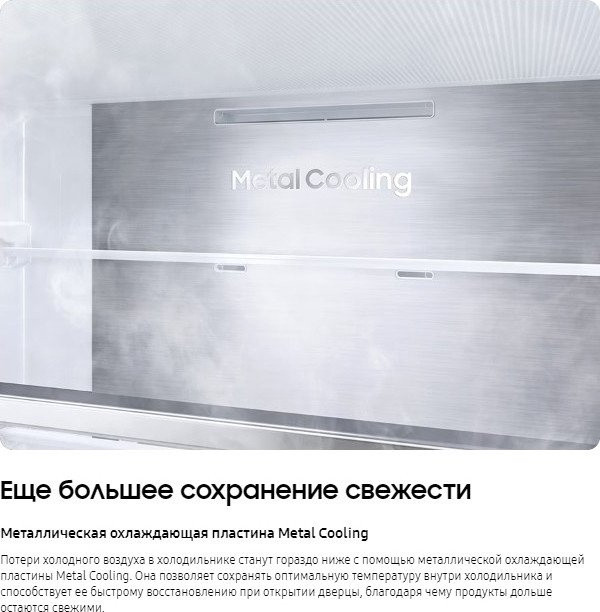 Холодильник Samsung RB53DG703ES9WT