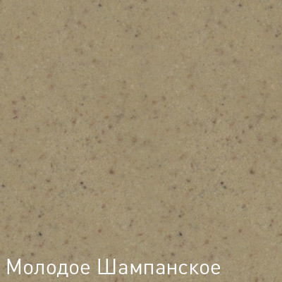 Кухонная мойка Zigmund & Shtain RECHTECK 600.2 (Молодое шампанское)