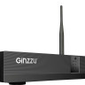 Видеорегистратор наблюдения Ginzzu HK-8401W