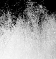 Спальный мешок Naturehike U150 NH20MSD07 6927595764398 (хаки 190 L)