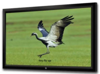 Проекционный экран SeeMax Highland 4:3 305x229 FH150VPM