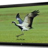 Проекционный экран SeeMax Highland 4:3 305x229 FH150VPM