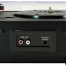 Виниловый проигрыватель Ritmix LP-190B (серый)