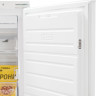 Морозильник SCANDILUX FNBI303E
