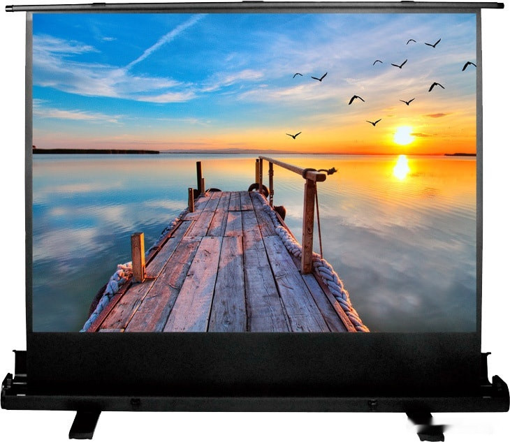 Проекционный экран Cactus FloorExpert 113x200 CS-PSFLE-200X113