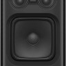 Колонка для вечеринок Sony SRS-XV900
