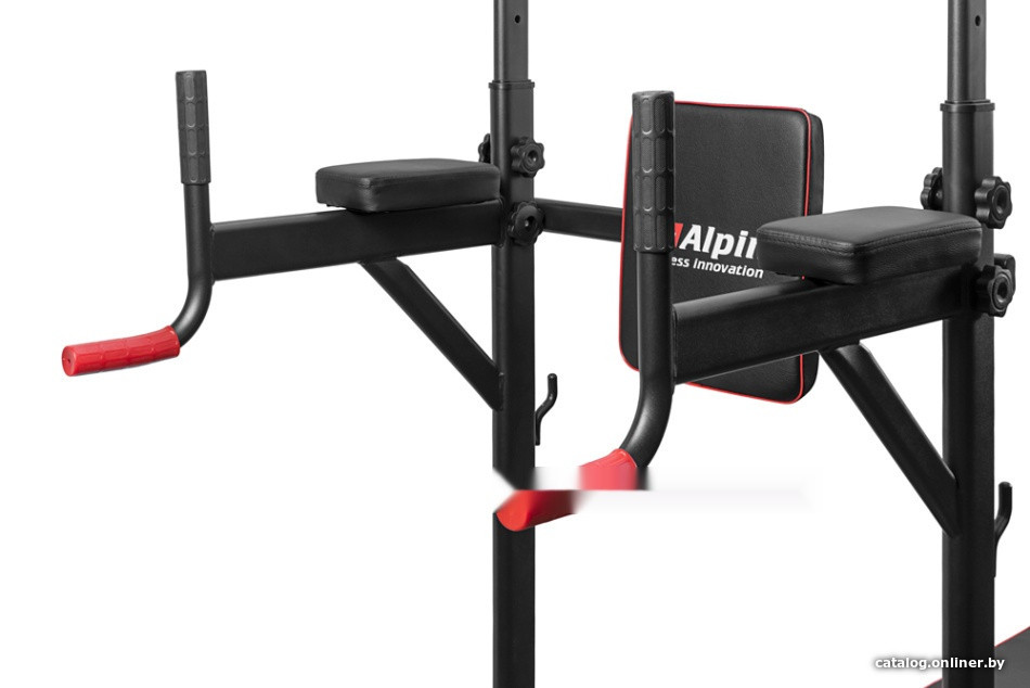 Турник с брусьями Alpin Athletics G-11