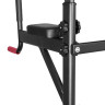 Турник с брусьями Alpin Athletics G-11