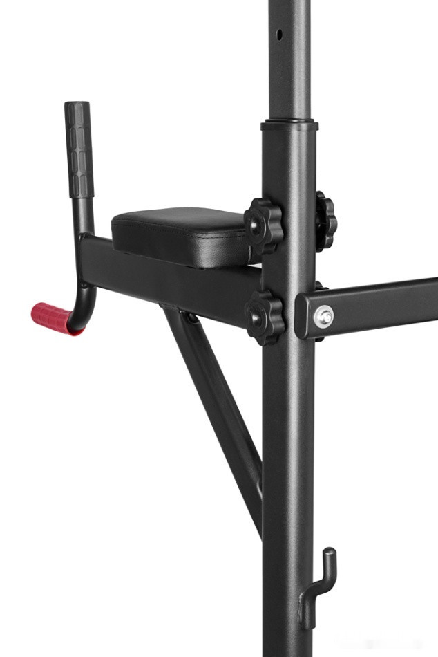 Турник с брусьями Alpin Athletics G-11