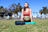 Портативная акустика JBL Charge 5 (розовый)